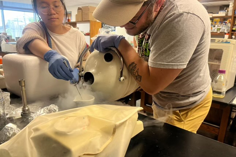 Rachel and Noah pouring liquid nitrogen for an RNA extraction