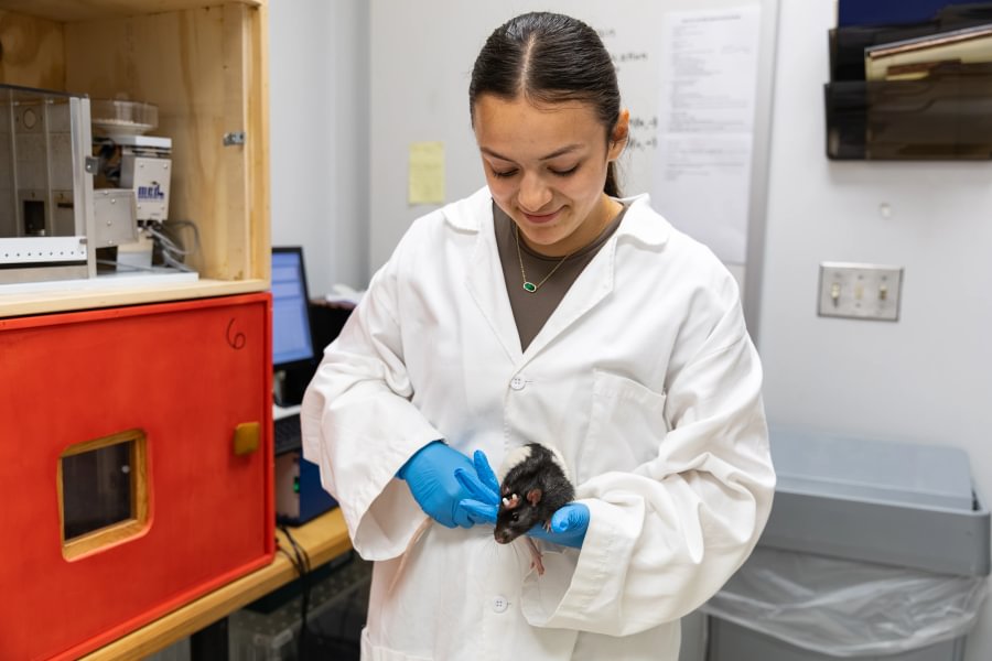 Marina Lomeli &rsquo;28 handles a black-and-white research subject inside the lab